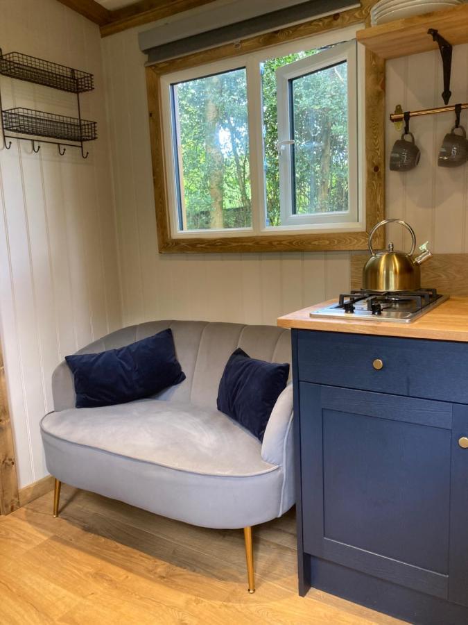 Herdwick Shepherd Hut Exeter